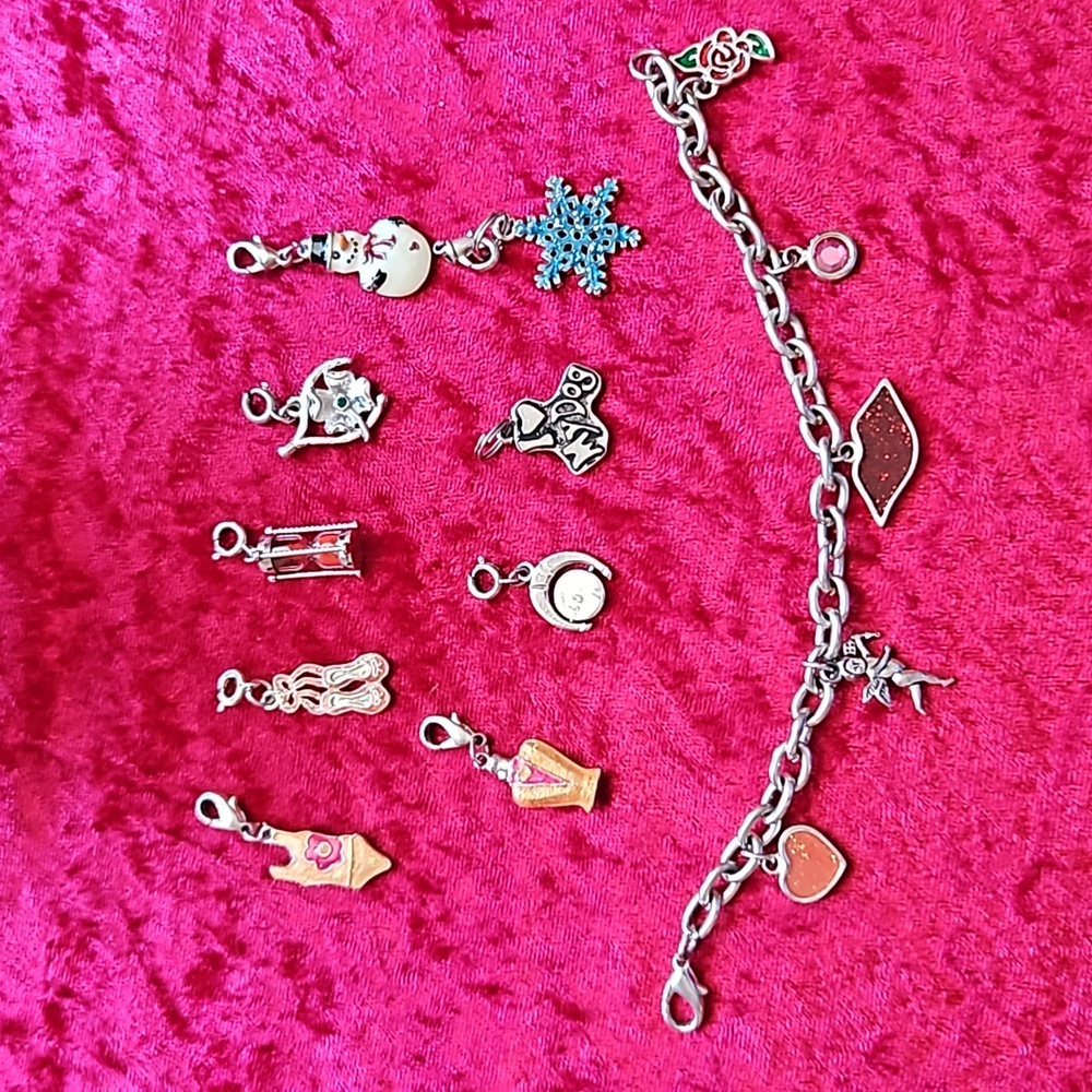 Silver Charm bracelet with extra charms